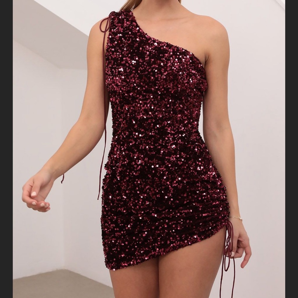 Lucy in the sky red/wine/maroon sequin dress